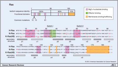 Corrigendum: The Research Progress of Direct KRAS G12C Mutation Inhibitors